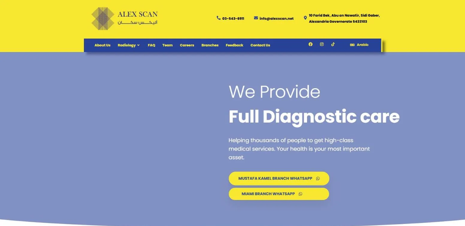 Alex Scan website on desktop